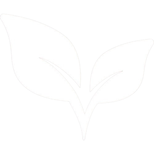 Environment