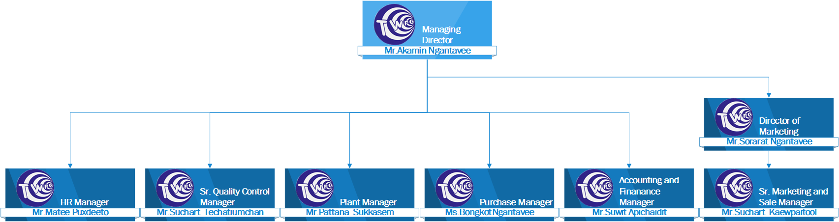 Thai Wire Products organization chart